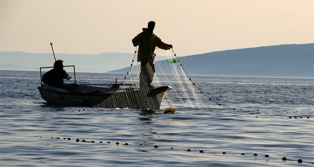 Objavljeni pravilnici o uvjetima, kriterijima i načinu dodjele potpore u okviru mjera stavljanja na tržište te prerade proizvoda ribarstva i akvakulture