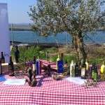 Polaznici projekta „Old skills for new jobs“ snimali promo video projekta - 