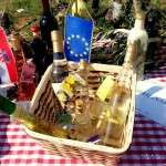 Polaznici projekta „Old skills for new jobs“ snimali promo video projekta - 