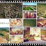 Polaznici projekta „Old skills for new jobs“ snimali promo video projekta - 