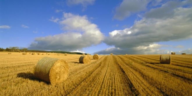 Objavljen novi Zakon o poljoprivrednom zemljištu