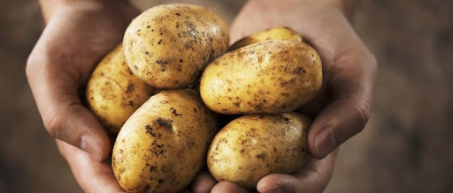 Produžen rok za podnošenje zahtjeva za potporu za tip operacije 4.1.1. za ulaganja u skladišne kapacitete za krumpir